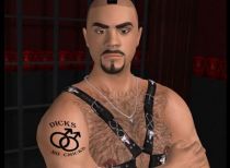Download hardcore gay porn game 3D GayVilla 2